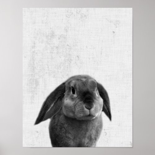 Black  White Peekaboo Bunny Minimalist Nursery Poster