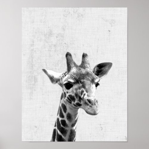 Black  White Peekaboo Giraffe Minimalist Nursery Poster