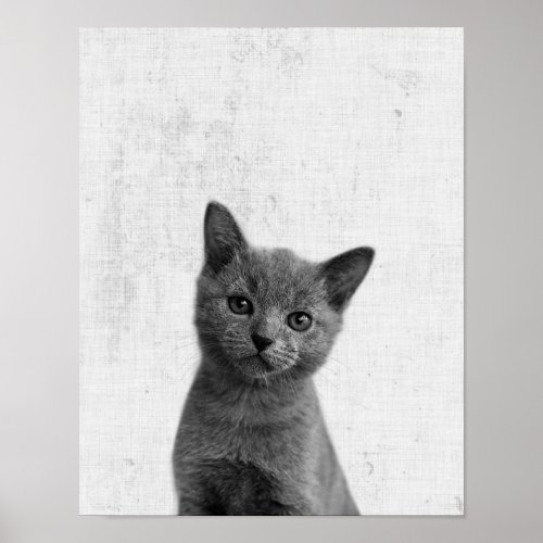 Black  White Peekaboo Kitten Minimalist Nursery Poster