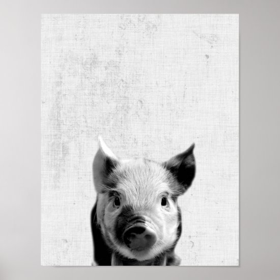 Black & White Peekaboo Piglet Minimalist Nursery Poster