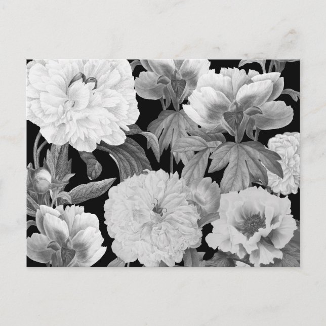 Black & White Peonies Watercolor Floral Holiday Postcard (Front)