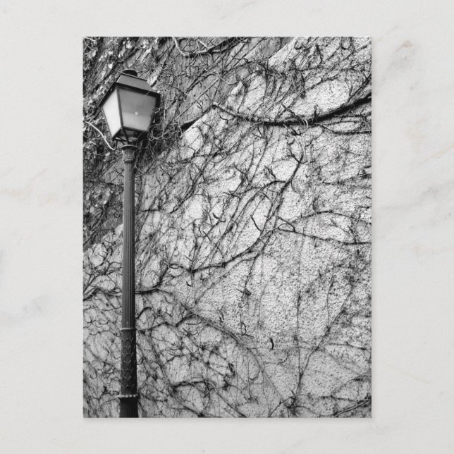 Black & White Photo of Paris Street Lamp Postcard (Front)