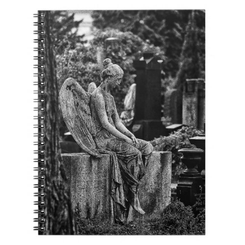 Black white photography melancholic angel Poster Notebook