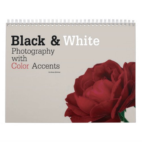 Black  White Photography with Color Accents Calendar