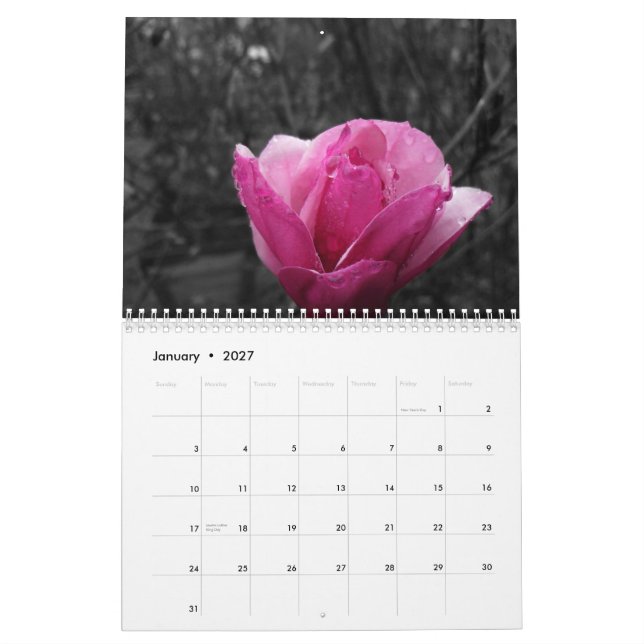 Black & White Photography with Color Accents Calendar (Jan 2027)