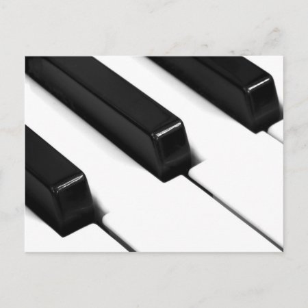 Black & White Piano Keys Postcard