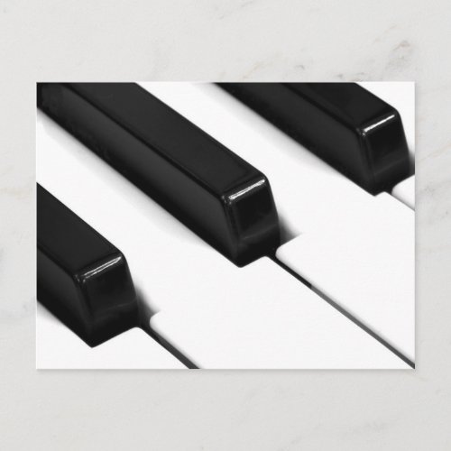 Black  White Piano Keys Postcard