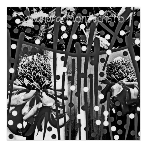 Black  White Pineapple Flower DUO Glossy Poster