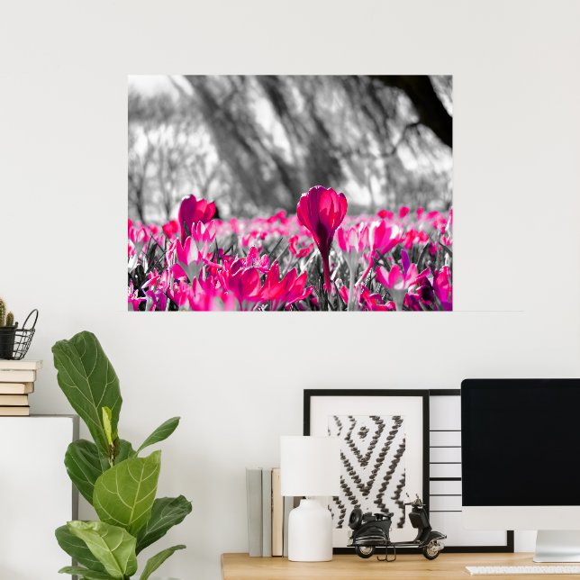 Black White Pink Flower Monochrome Poster (Home Office)