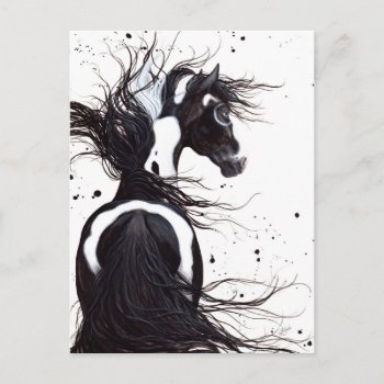 Black White Pinto Paint Horse By Bihrle Post Card by AmyLynBihrle at Zazzle