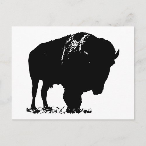 Black  White Pop Art Bison Buffalo Postcard