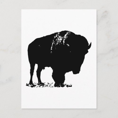 Black  White Pop Art Bison Buffalo Postcard