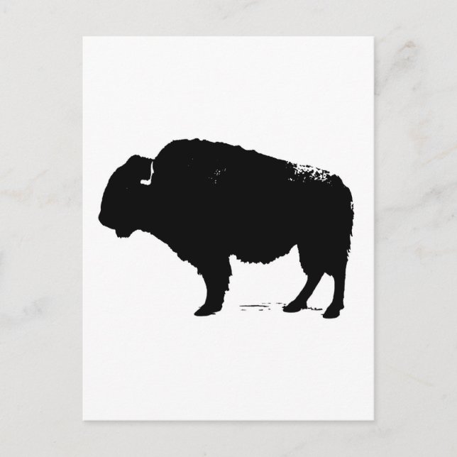 Black & White Pop Art Buffalo Bison Postcard (Front)