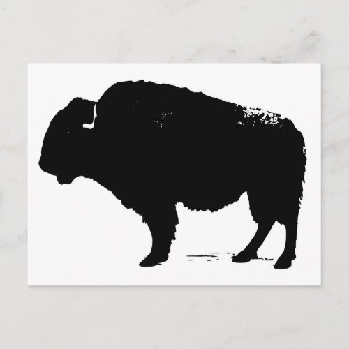 Black  White Pop Art Buffalo Bison Postcard