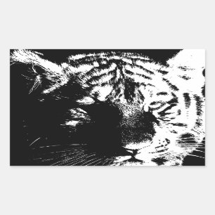 Black & White Pop Art Tiger Rectangular Sticker