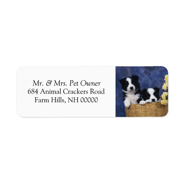 Black White Puppies Return Address Mail Stickers (Front)