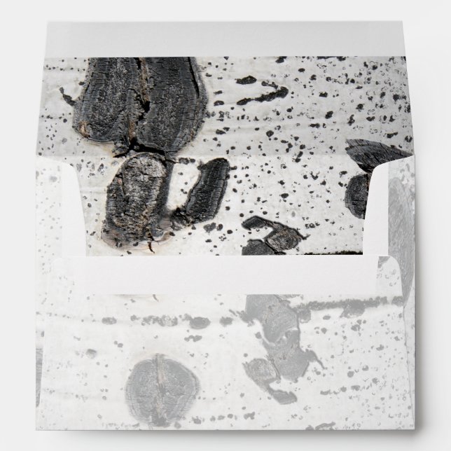 Black White Quaking Aspen Bark Inside & Out Envelope (Back (Bottom))