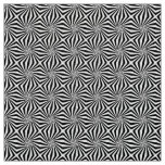 Black White Radiating Pattern Thunder_Cove  Fabric