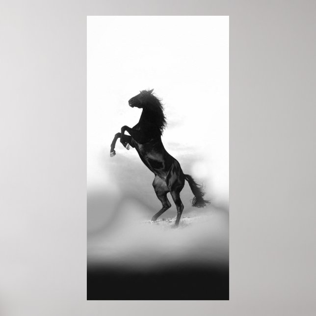 Black White Rearing Horse Poster (Front)