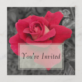 Black White Red Rose Invitations