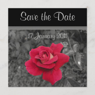 Black White Red Rose Save the Date Cards
