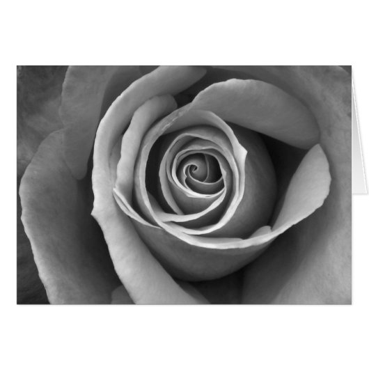 Black & White Rose Cards (Front Horizontal)