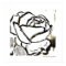 Black White Rose Cool Pop Rose Poster Art Prints