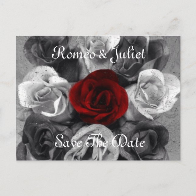 Black White Rose Save The Date Postcard (Front)