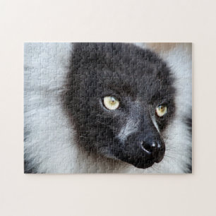 Black & White Ruffed Lemur, Jigsaw Puzzle