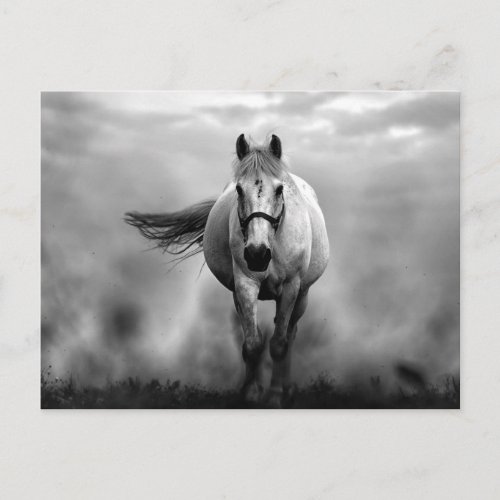 Black White Running Horse Freedom Postcard