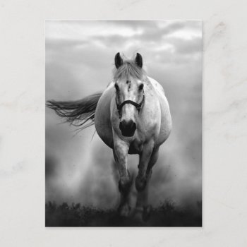 Black White Running Horse Freedom Postcard by made_in_atlantis at Zazzle