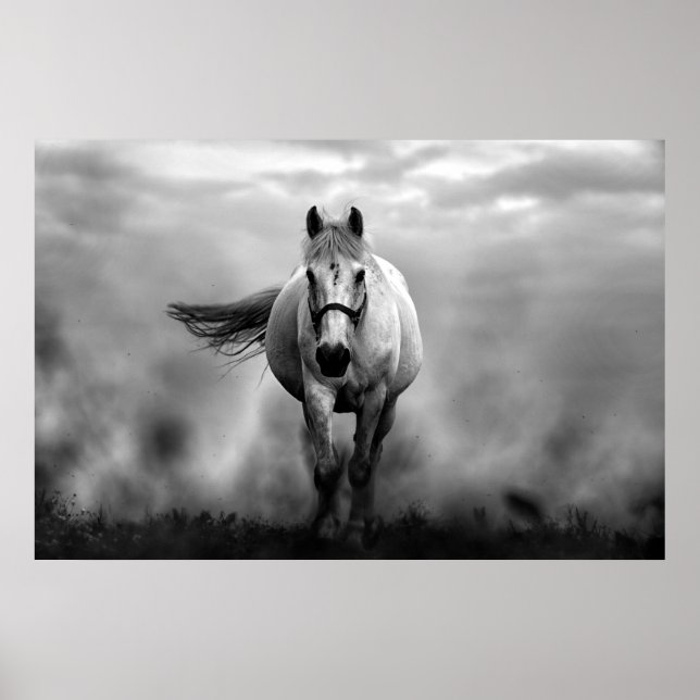 Black White Running Horse Freedom Poster (Front)