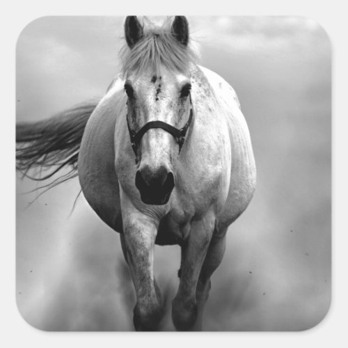 Black White Running Horse Freedom Square Sticker