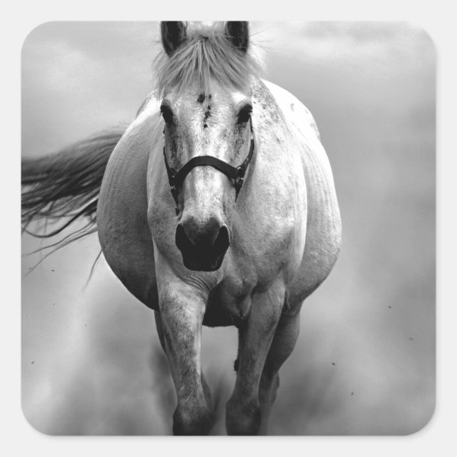 Black White Running Horse Freedom Square Sticker (Front)