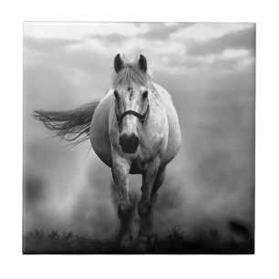 Black White Running Horse Freedom Tile