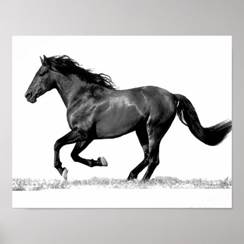 Black  White Running Horse Poster