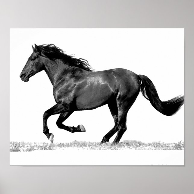 Black & White Running Horse Poster (Front)