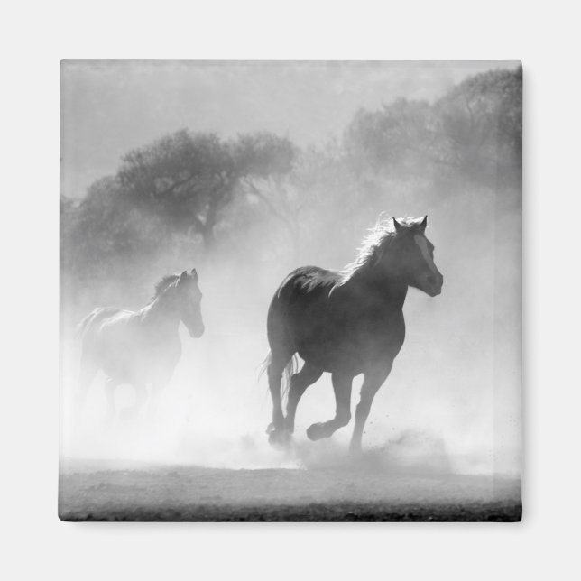 Black & White Running Horses Photo Artwork Magnet (Front)