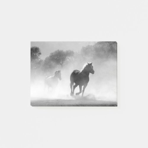 Black  White Running Horses Photo Artwork Post_it Notes
