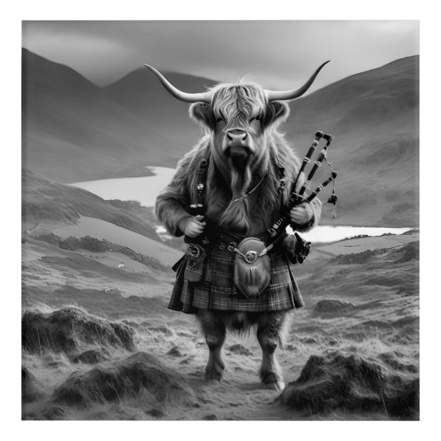 Black White Scottish Highland Cow Bagpiper,  Acrylic Print (Front)