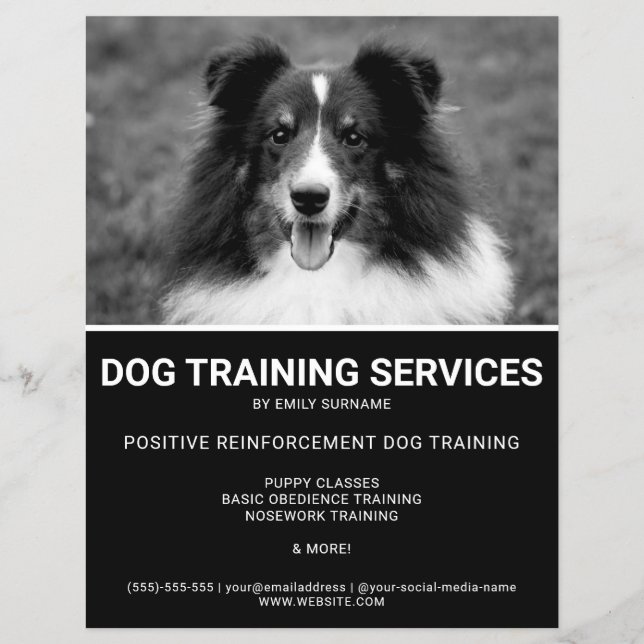 Black & White Shetland Sheepdog Photo Dog Trainer Flyer (Front)