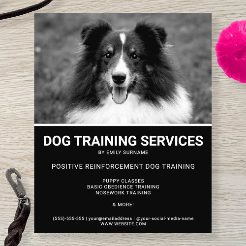 Black  White Shetland Sheepdog Photo Dog Trainer Flyer