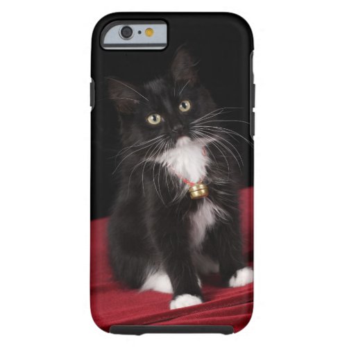 Black  white short_haired kitten2 12 months tough iPhone 6 case