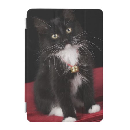 Black & White Short-haired Kitten,2 1/2 Months Ipad Mini Cover