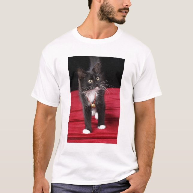 Black & white short-haired kitten, 2 1/2 months T-Shirt (Front)