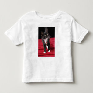 Black & white short-haired kitten, 2 1/2 months toddler t-shirt