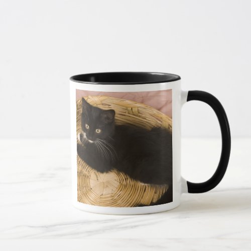 Black  white short_haired kitten on hamper lid 2 mug