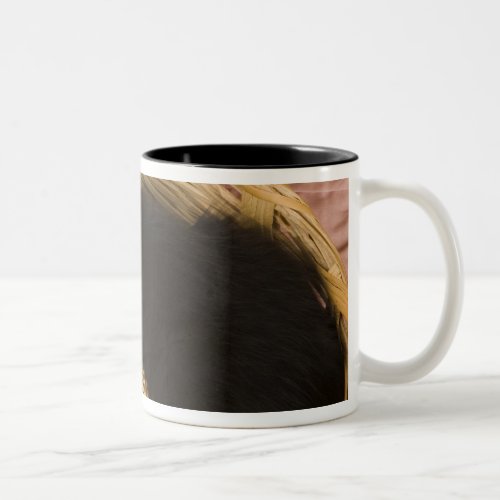 Black  white short_haired kitten on hamper lid 2 Two_Tone coffee mug