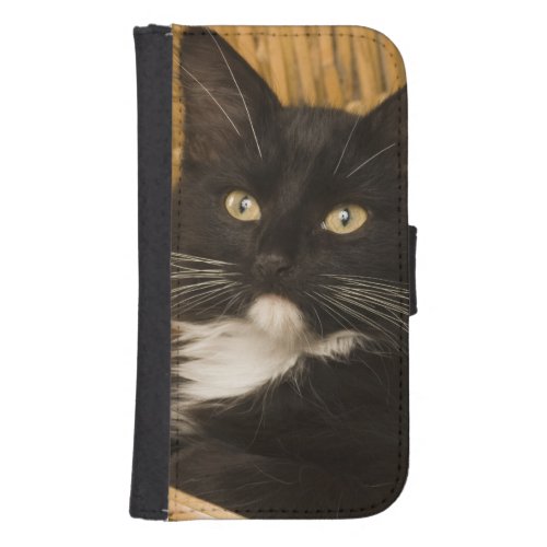 Black  white short_haired kitten on hamper lid galaxy s4 wallet case