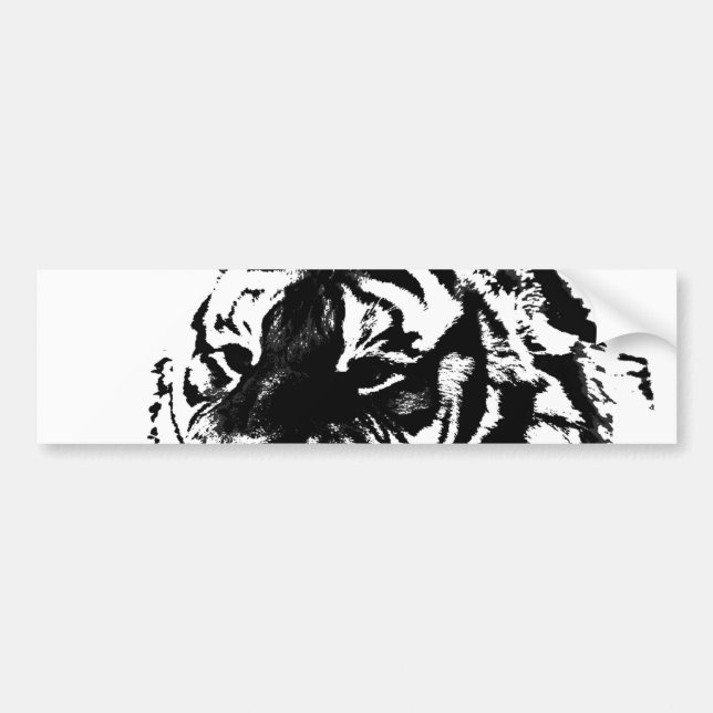 Black & White Siberian Tiger Bumper Sticker (Front)